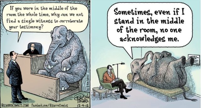 Elephant in The Room